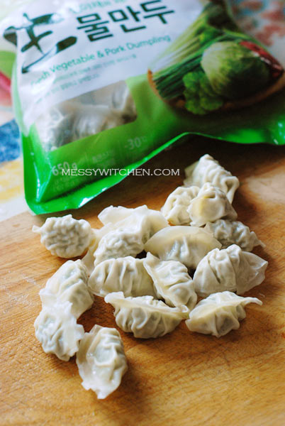 Vegetable & Pork Mandu-Dumplings